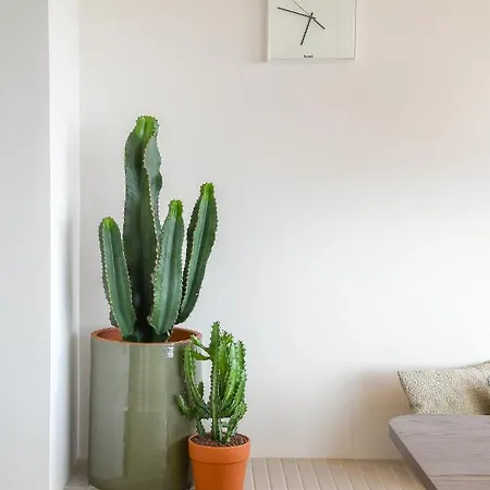 Mercator - 2 Slaapkamer Met Open Uitzicht Oostende