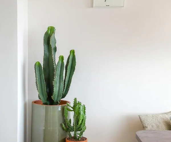 Mercator - 2 Slaapkamer Met Open Uitzicht Oostende